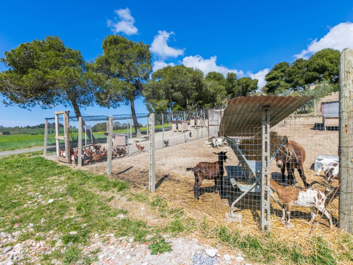 Holiday Home Il Fienile By Interhome Bibbona Exterior foto