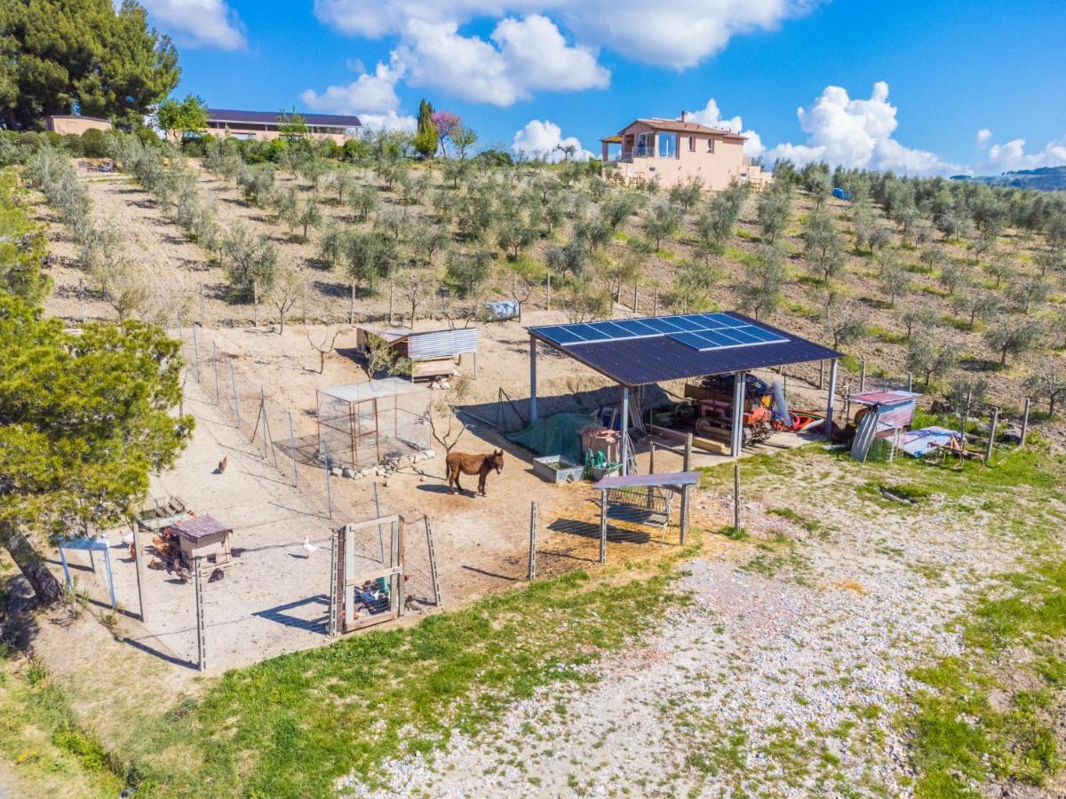 Holiday Home Il Fienile By Interhome Bibbona Exterior foto